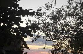 LULA 'S HOUSE - Photo 45