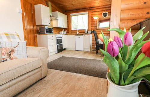 Alwinton Lodge - Foto 6