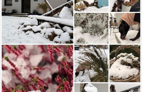 Ferienwohnung Maren - Foto 1