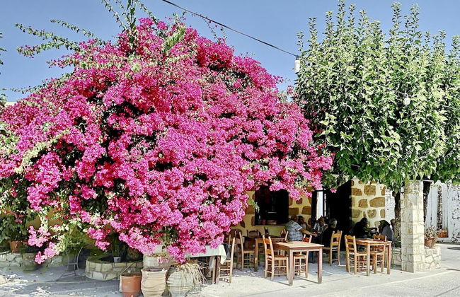 Villa Olivia in Vrises - Foto 9