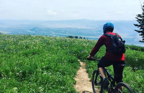 A casa di Hugo - Relais Valpolicella - Photo 13