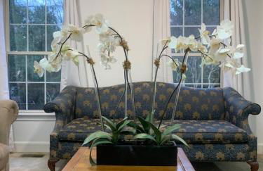 5BR Retreat Nature and Access Laurel MD - Foto 20