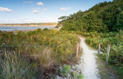 L'Agapanthe, Gîte au coeur de la Baie de Saint Brieuc - Foto 9