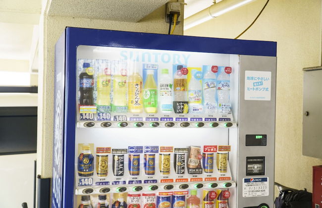 Mr.KINJO VIOLETTE KUKOMAE - Foto 23