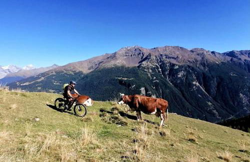 CASA CARCENTINA - fronte seggiovia, sulla pista Stelvio - Foto 51