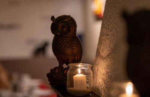 Alpaka - & Ferienhof Neukämper - Foto 29