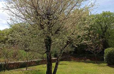 Holiday House Vela Vrta - Foto 41