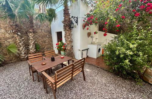 La Washingtonia - Foto 23