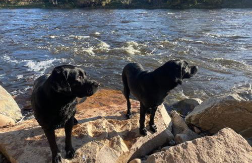 Daisy Cabin - Photo 39