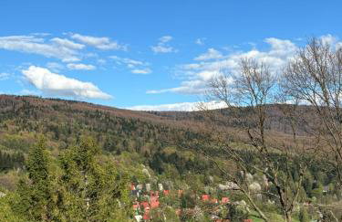 Dom Na Wzgórzu - Foto 77