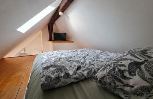 Studio Apartment for 1-2 People with Rhine View - Foto 9