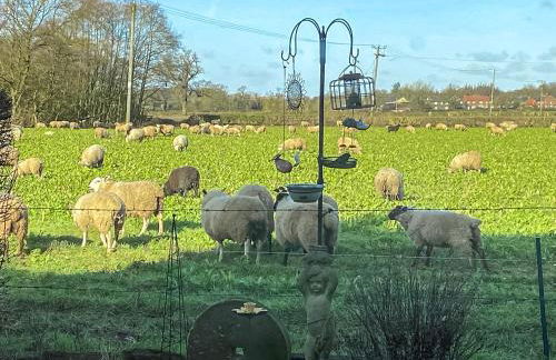 The Stables - Photo 21