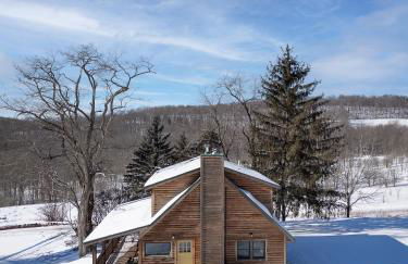 Stella Firma - Foto 8