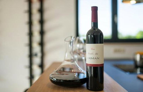 Villa Vitis Vitae - Foto 46