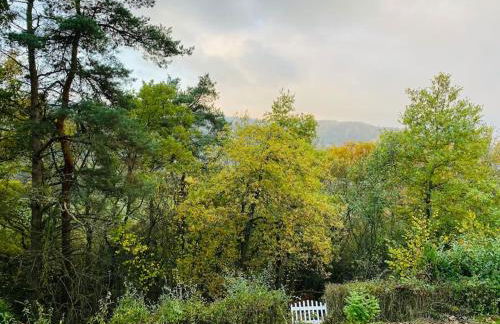 Schöne Ferienwohnung mit Waldblick in Dillenburg - Photo 13