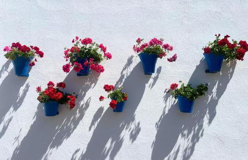 La Buganvilla - Photo 21