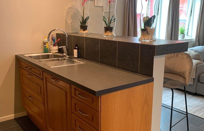 Notodden Sentrum Apartment NO 8 - Photo 12