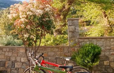 Seaside retreat house - Foto 17