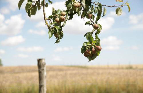 Große Wohnung / Haushälfte in Peetzig am See - Foto 68