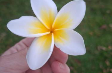 Chalé lindo e confortável! - Foto 7