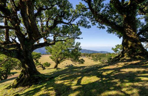 Recanto das Florenças (2) - Photo 53