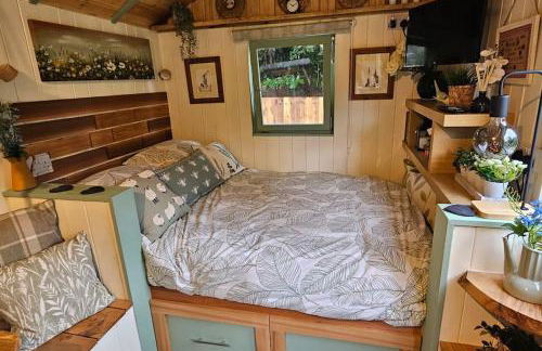 Cozy Cobblers Cabin - Photo 9