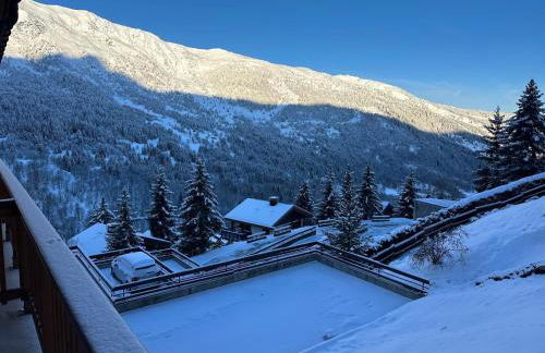 Méribel 2 pièces avec cabine, centre, proche commerce et pistes avec parking et wifi état neuf - Foto 32