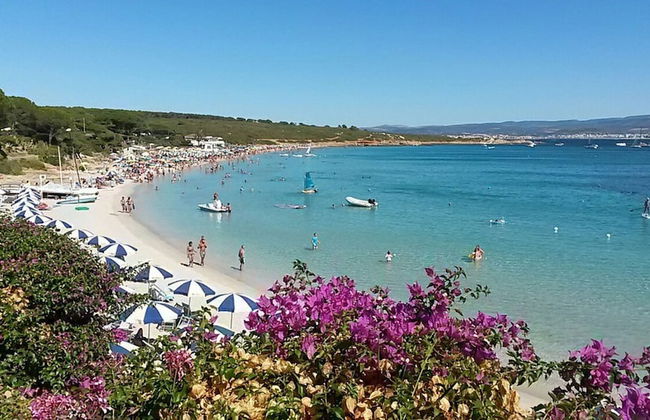 New Flat for 6 Guests Near Alghero Beach - Foto 29