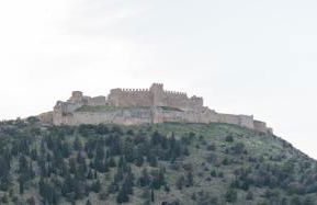 50 DANAIDES - Foto 20