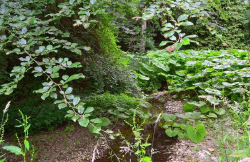 Melgund Glen Lodge - Foto 15