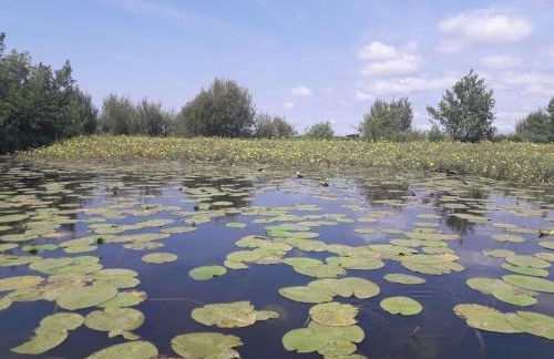 La Cabane aux lacs ~ Maison cosy au calme - Foto 17
