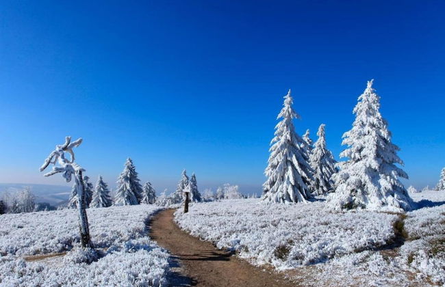 Terrace Retreat in Winterberg - Foto 37