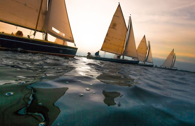 Swarm - 3 Waterlodges Naast Elkaar in Friesland - Foto 18