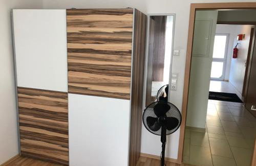 Sahara Falcon - Photo 112