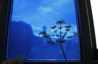 Rod and Line - Photo 53