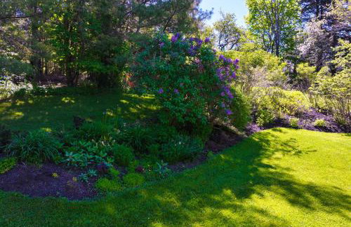 Turkey Cove Cottage - Foto 9