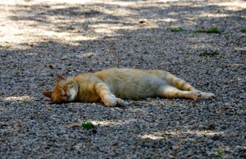 Agriturismo La Montina - Foto 42