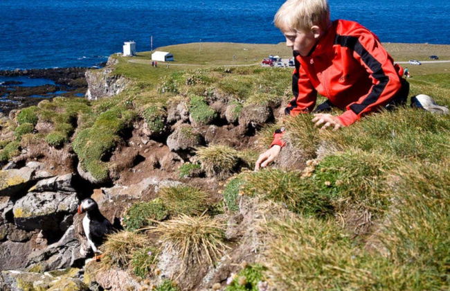 Excursión a Látrabjarg y Raudasandur - Foto 1