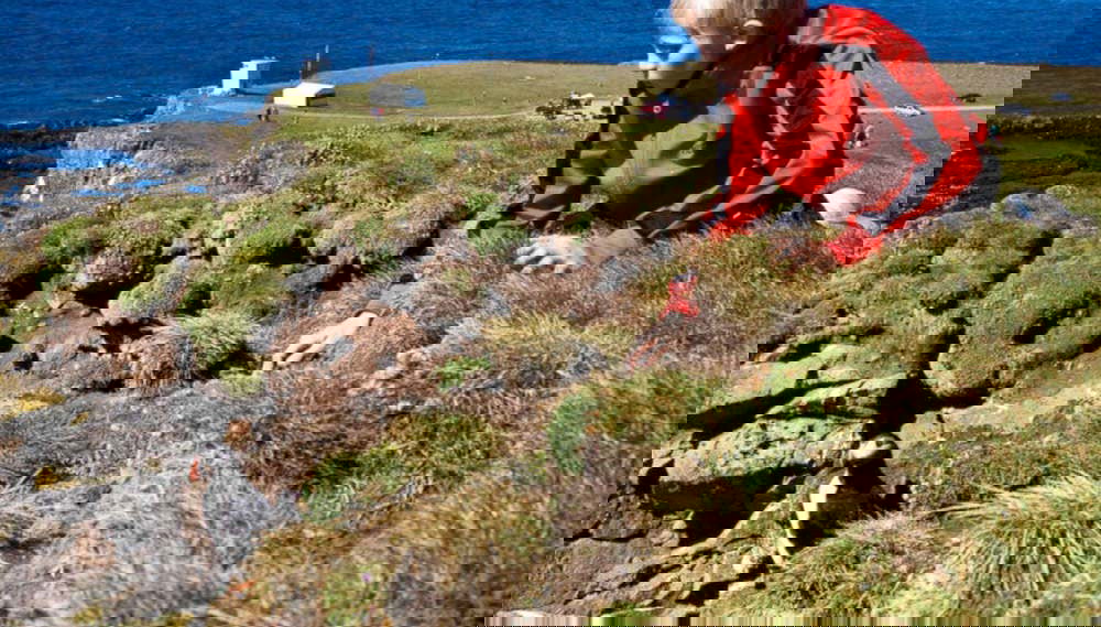 Látrabjarg & Raudasandur Day Trip - Foto 1