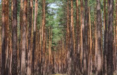 Apartament Fryderyk Łagów - Foto 44