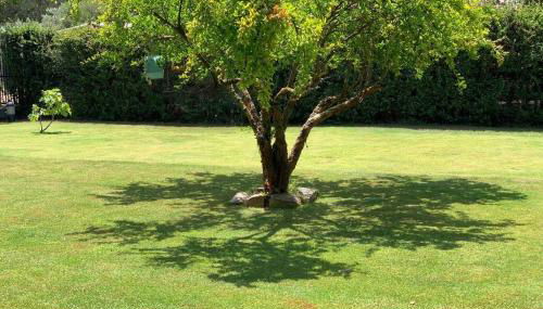 Casa Chia a 5 minuti dal mare - Su Giudeu Tuerredda - Foto 3, Garden, Garden view