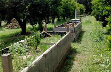 Luna&Limoni Country - Foto 27