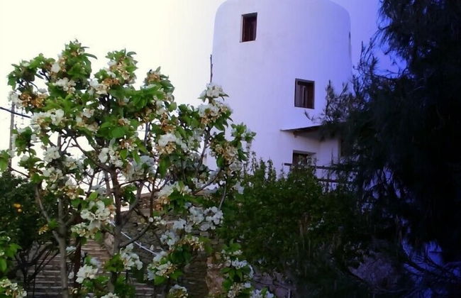 Windmill Complex - Photo 32