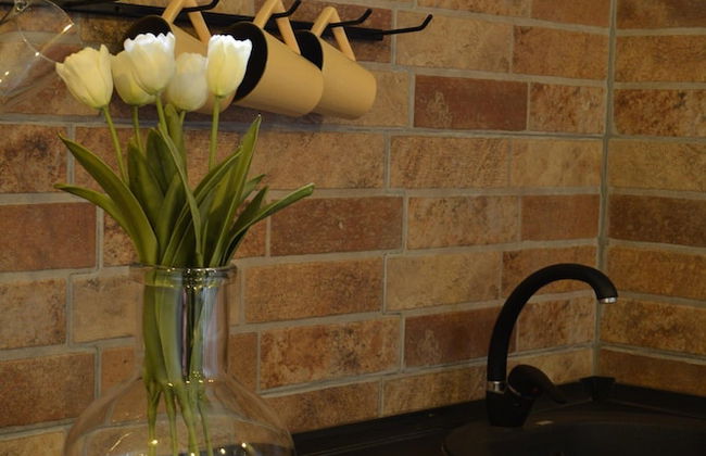 Apartments L&M - Foto 15