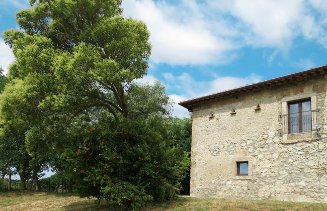 Pasqualino - Foto 31