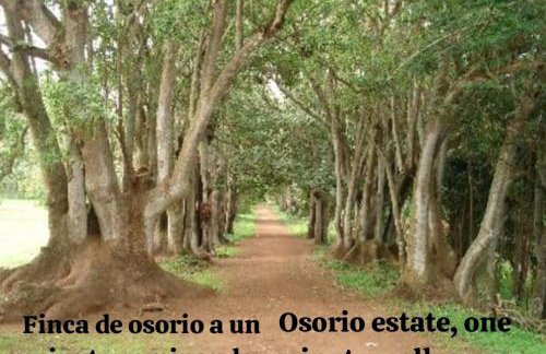 La Herbolera Vv Apartamento - Foto 36