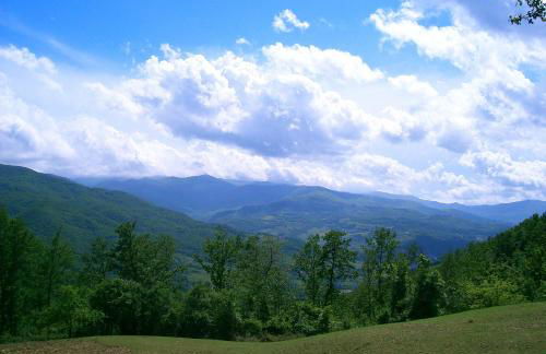 Agriturismo Le Querciole - Photo 24