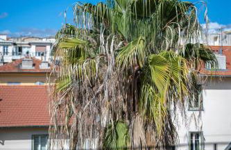 Charmant appartement hyper centre ville - quartier Notre Dame - Foto 6