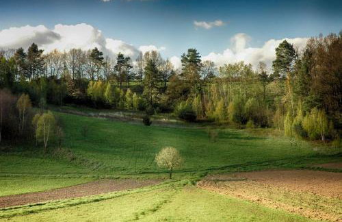 The Old Barn Luksusowa Stodoła z Całorocznym Jacuzzi Kominkiem i Widokiem na Wzgórza i Las dla 8-10 osób na Dolnym Śląsku min 2 noce - Foto 48