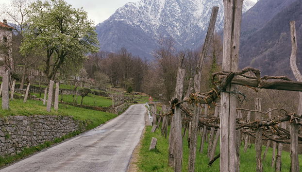 Trilha por Montecrestese + Degustação de vinhos